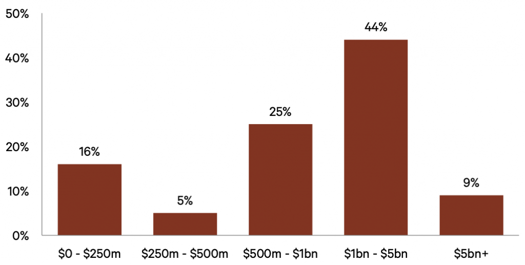 Over half of NPM’s clients are unicorns (private companies worth $1bn+) 
