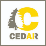 Cedar AI