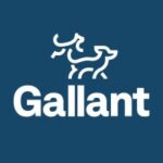 Gallant