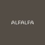 Alfalfa