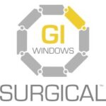 GI Windows