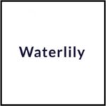 Waterlily