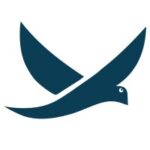 iFlock Security Consulting