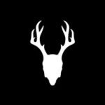 Mad Rabbit